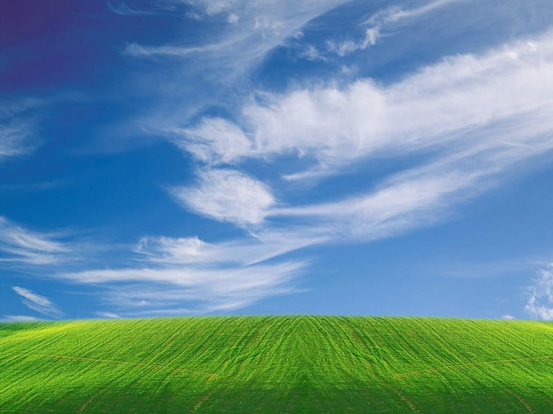 Green field under blue skies, blue sky, green field, clouds, HD wallpaper |  Peakpx