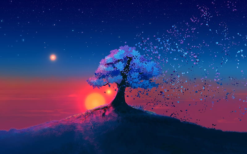 Lonely Tree, Starry sky, Solitary tree, Tree, Hilltop, Night, HD wallpaper
