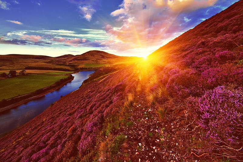 Heather Dreams, green valley, land scape, sunset, clouds, footpath, mountains, river, blue sky, reflection, scenery, hill, heather flowers, HD wallpaper