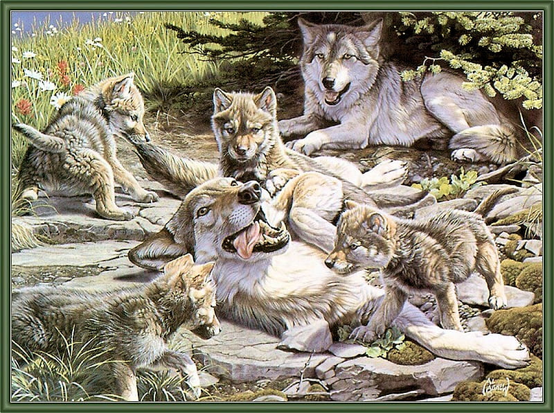 Familia de lobos, padres, manada de lobos, pintura, lobos, obra de arte,  cachorros, Fondo de pantalla HD | Peakpx