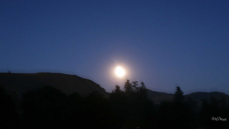 Moonrise over Winthrop, , moon, evening, moon trees, sky, horion, night, HD wallpaper