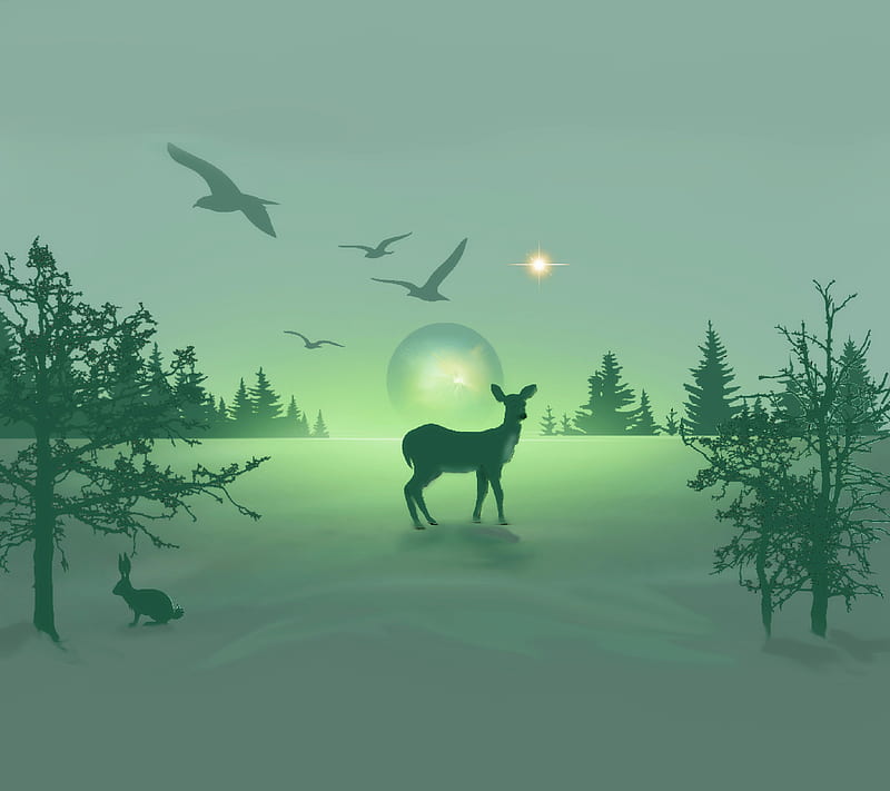 The Roe deer 4, animal, nature, roedeer, HD wallpaper