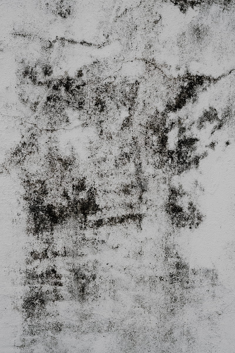 wall, stains, texture, gray, concrete, HD phone wallpaper