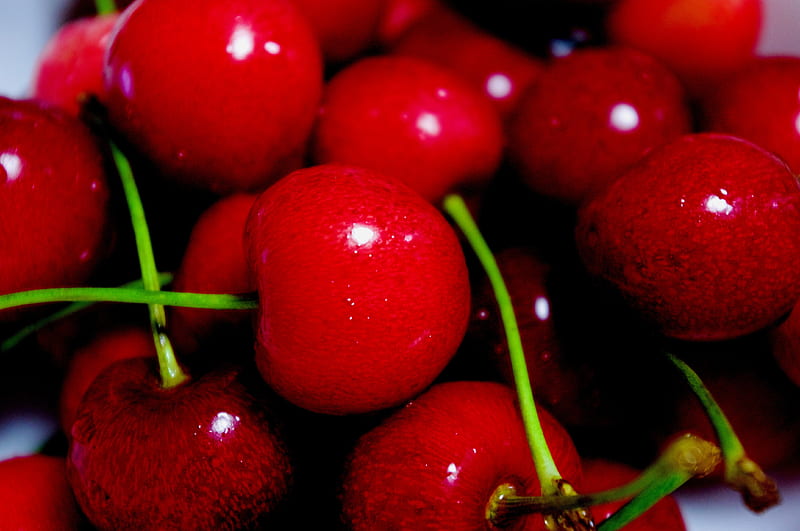 Cherries, red, cheries, berry, berries, tasty, cherry, HD wallpaper