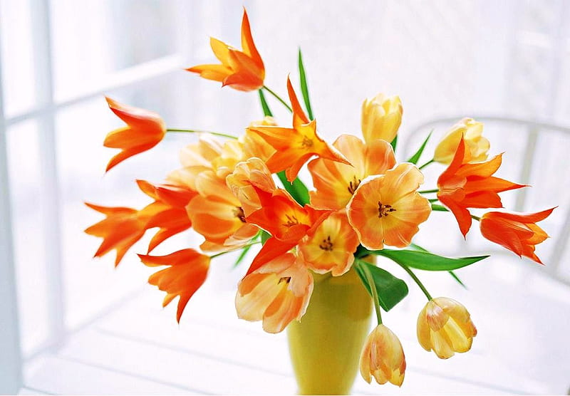Orange and yellow cheer, cheery, orange, bright, flowers, yellow, vase ...