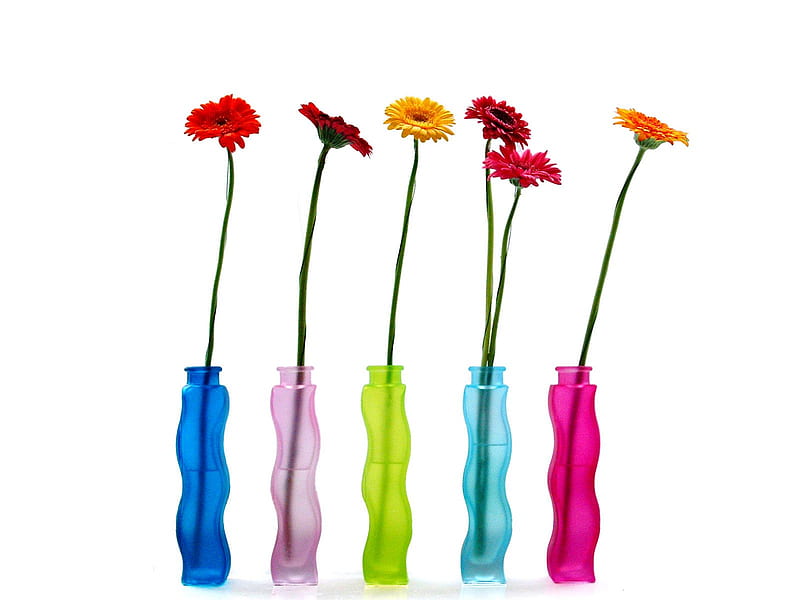 Flower-Vase-Pantene, pantene, flower, vase, bonito, HD wallpaper