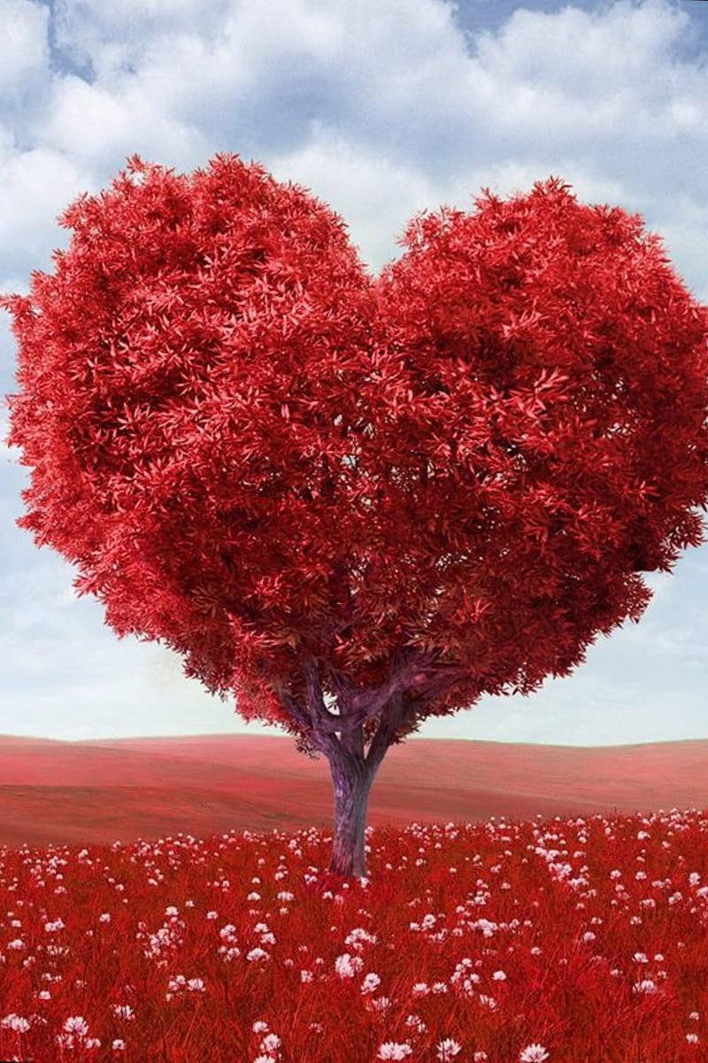 love tree, love, red, tree, HD phone wallpaper