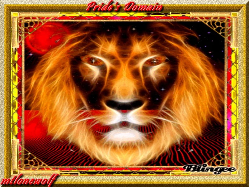 Pride's Domain, prowling, domain, africa, sand, moon, hunt, prey, night, desert, carnivore, mtlonewolf, cat, lion, prowl, predator, pride, stalk, HD wallpaper