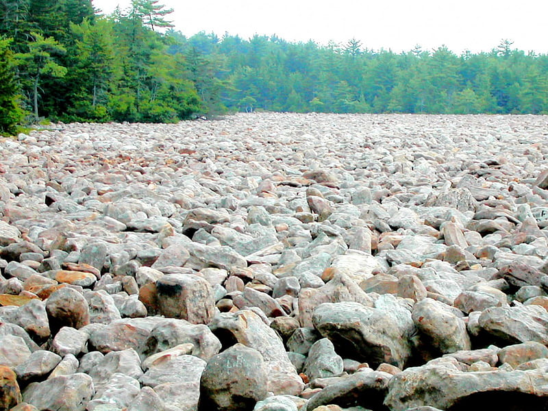 boulder field..Pocono Mountains Pa., rocks, summer, Pocono, mountains, HD wallpaper