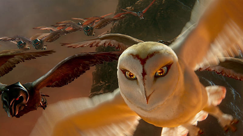 Legend of the Guardians-The Owls of GaHoole movie 18, HD wallpaper