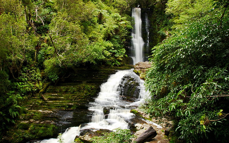 McLean Waterfall, New Zealand, Forest, New Zealand, Waterfall, Rocks, Nature, HD wallpaper