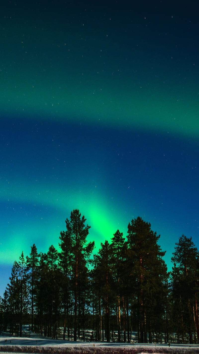 Northern Lights, Aurora, Trees, Light Phenomenon - Northern Lights Background Trees, Green Northern Lights, HD phone wallpaper