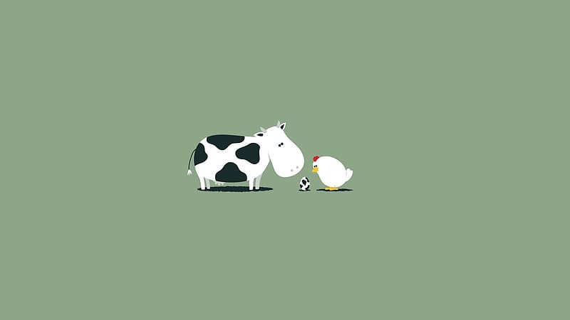 Animal, Egg, Chicken, Dairy Cow, Farm Animals, HD wallpaper