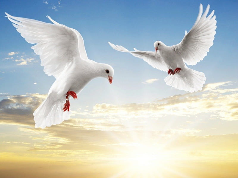 LET THERE BE PEACE ON EARTH, symbols, peace, bonito, gorgeous, HD wallpaper