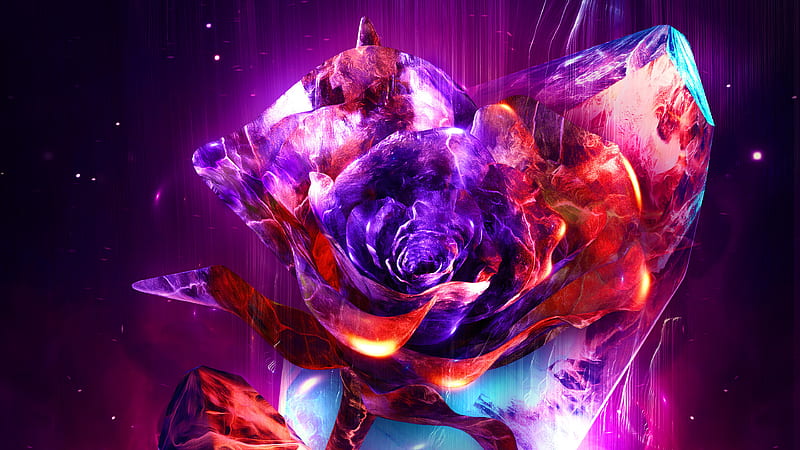 Rose Abstract , abstract, rose, artist, artwork, digital-art, behance, HD wallpaper