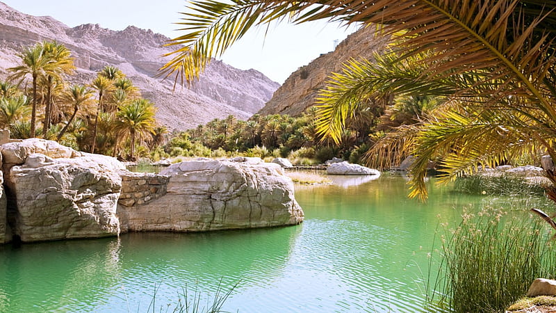 Wadi Bani Khalid, Oman, mountain valley, boulders, lush oases, bonito, pool of waters, palm trees, HD wallpaper