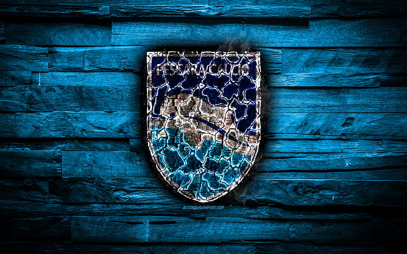 Delfino Pescara FC, burning logo, Serie B, blue wooden background, italian football club, Delfino Pescara 1936, grunge, football, soccer, Delfino Pescara logo, Pescara, Italy, HD wallpaper