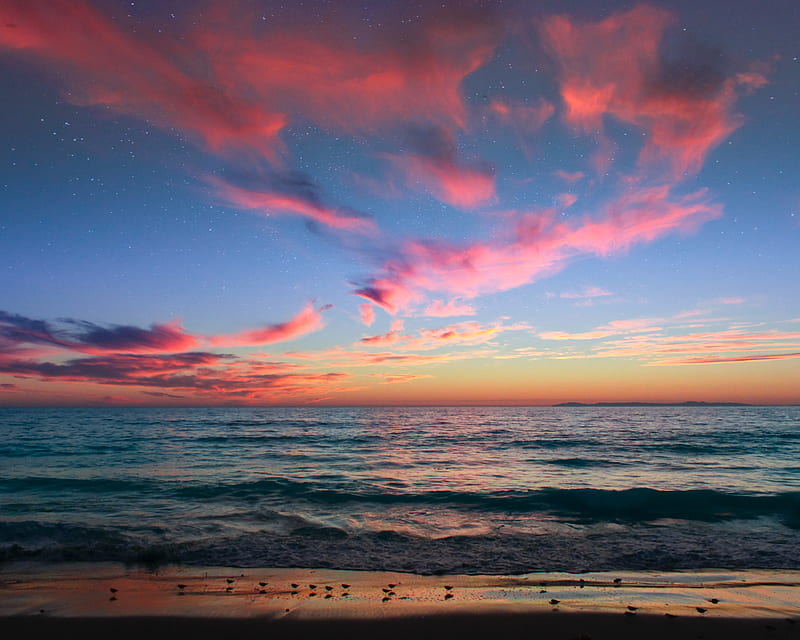 Sunset Bird Crossing, beach, birds, blue, clouds, ocean, sky, stars, water, waves, HD wallpaper