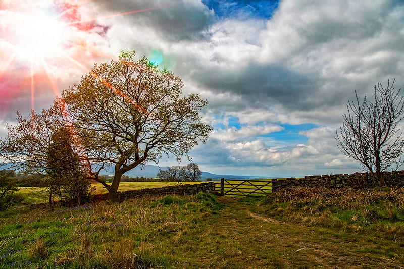 Summer Landscape in North Yorkshire, Sky, Clouds, Summer, Landscapes, Sunshine, Nature, England, HD wallpaper