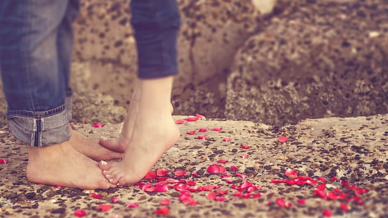 love in the air, romantic, feet, people, love, petals, happy, couple, HD wallpaper