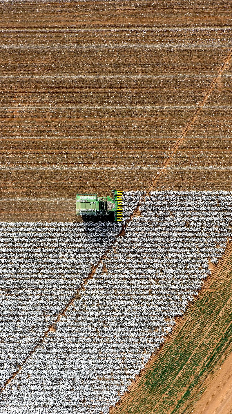 John Deere cotton, agriculture, farm, field, harvest, johndeere, texas, work, HD phone wallpaper