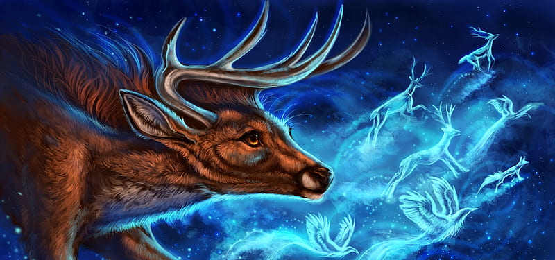 Fantasy deer, luminos, orange, deer, night tales, animal, horns ...