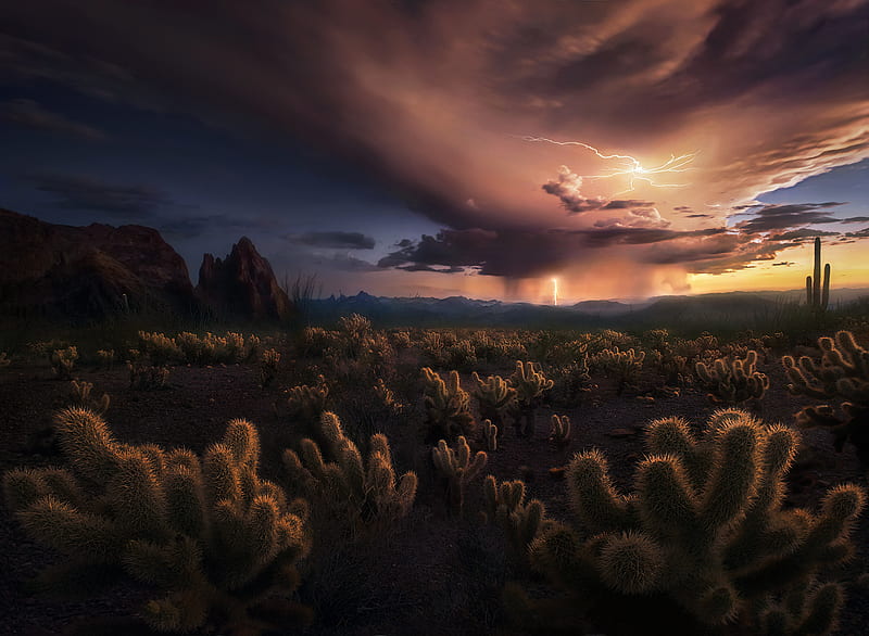 Storm at Cactus Desert, HD wallpaper