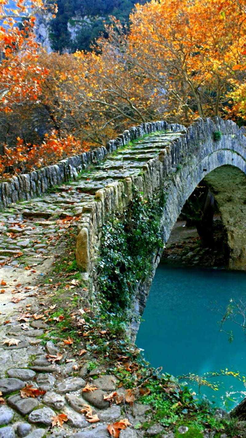 autumn, blue, bridge, leaf, HD phone wallpaper