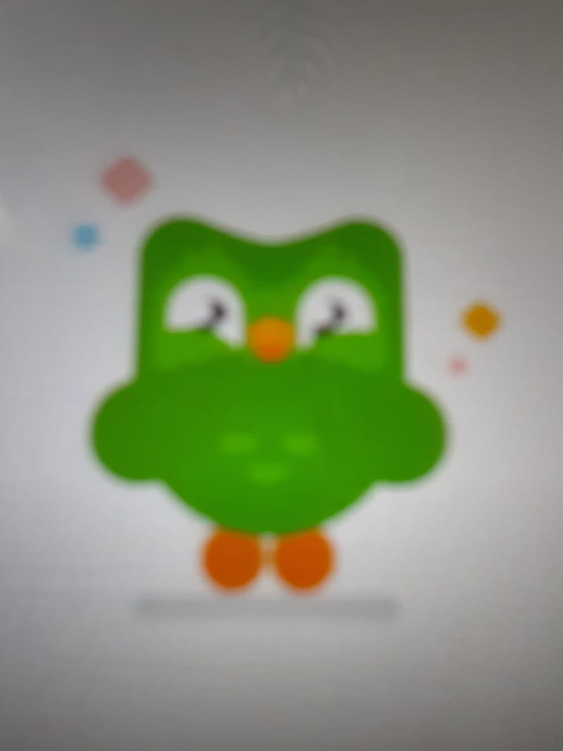 Duolingo wallpaper by Silesiann  Download on ZEDGE  0232