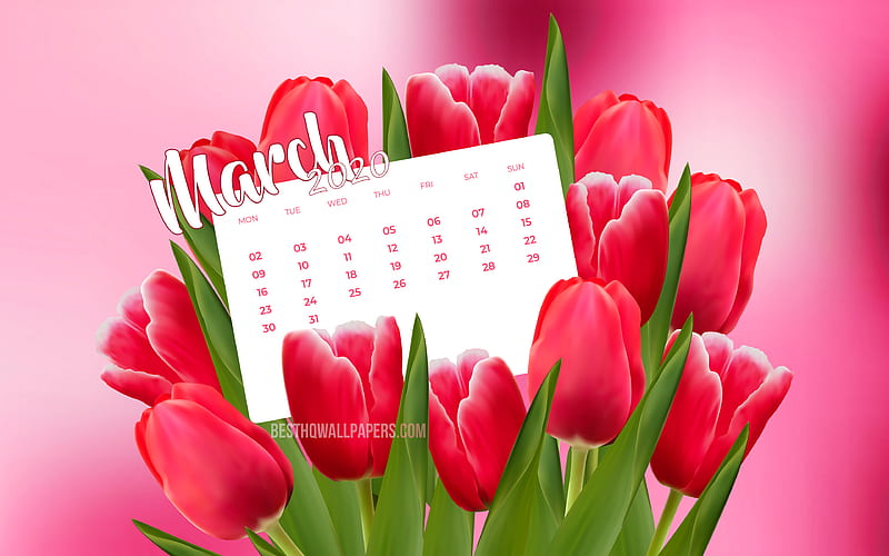 March 2020 Calendar, pink tulips, 2020 calendar spring calendars, March 2020, creative, pink backgrounds, March 2020 calendar with tulips, Calendar March 2020, 2020 calendars, HD wallpaper