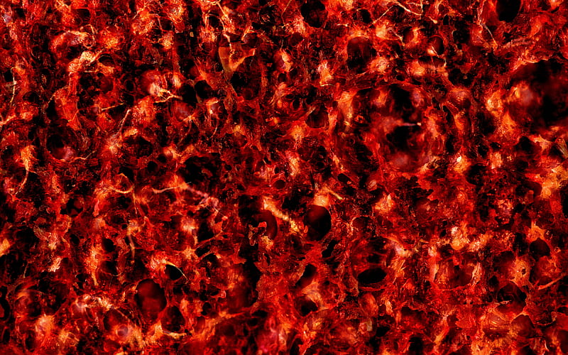 lava texture, fire background, lava background, flame texture, fire, flame, HD wallpaper