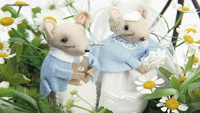 Happy Wedding., White, Love, Flowers, Mice, HD wallpaper