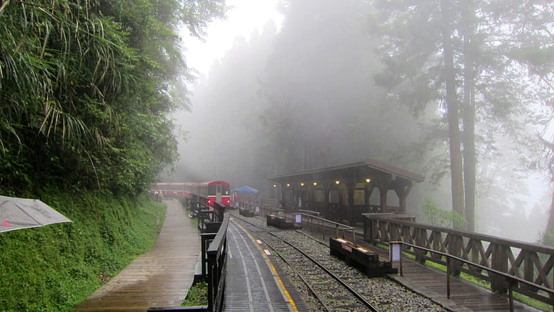 Foggy raining day in the mountain railway station, mountain, forest, tree, railway station, train, rain, fog, HD wallpaper