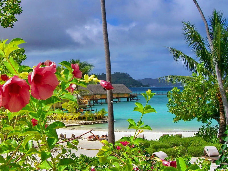 Bora Bora-French Polynesia, polynesia, pretty, resort, shore, cottages, sun, sunny, french polynesia, bonito, clouds, sea, nice, Bora Bora, destination, flowers, cabins, hotel, rest, huts, vacation, lovely, ocean, greenery, sky, trees, palms, water, relaxing, HD wallpaper