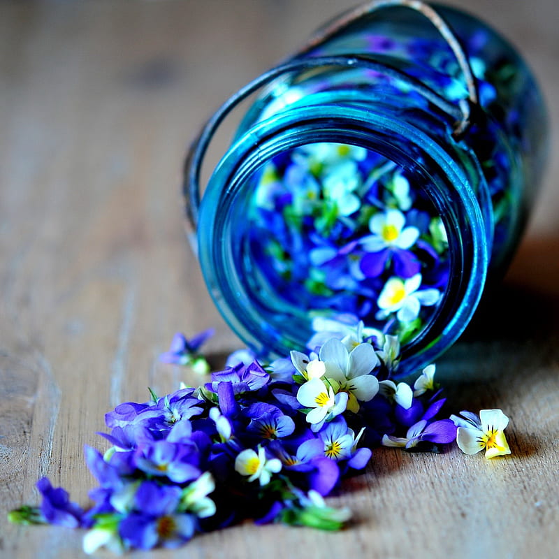 Flowers, blue, colors, jar, HD phone wallpaper