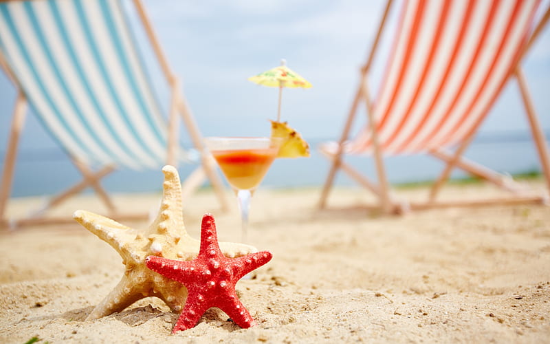 starfish, beach, sand, summer cocktail, chaise lounges, rest, relax, tourism, travel, HD wallpaper