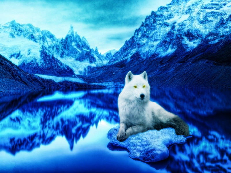 On the blue Sea, white, Wolf, Ice, blue, HD wallpaper | Peakpx