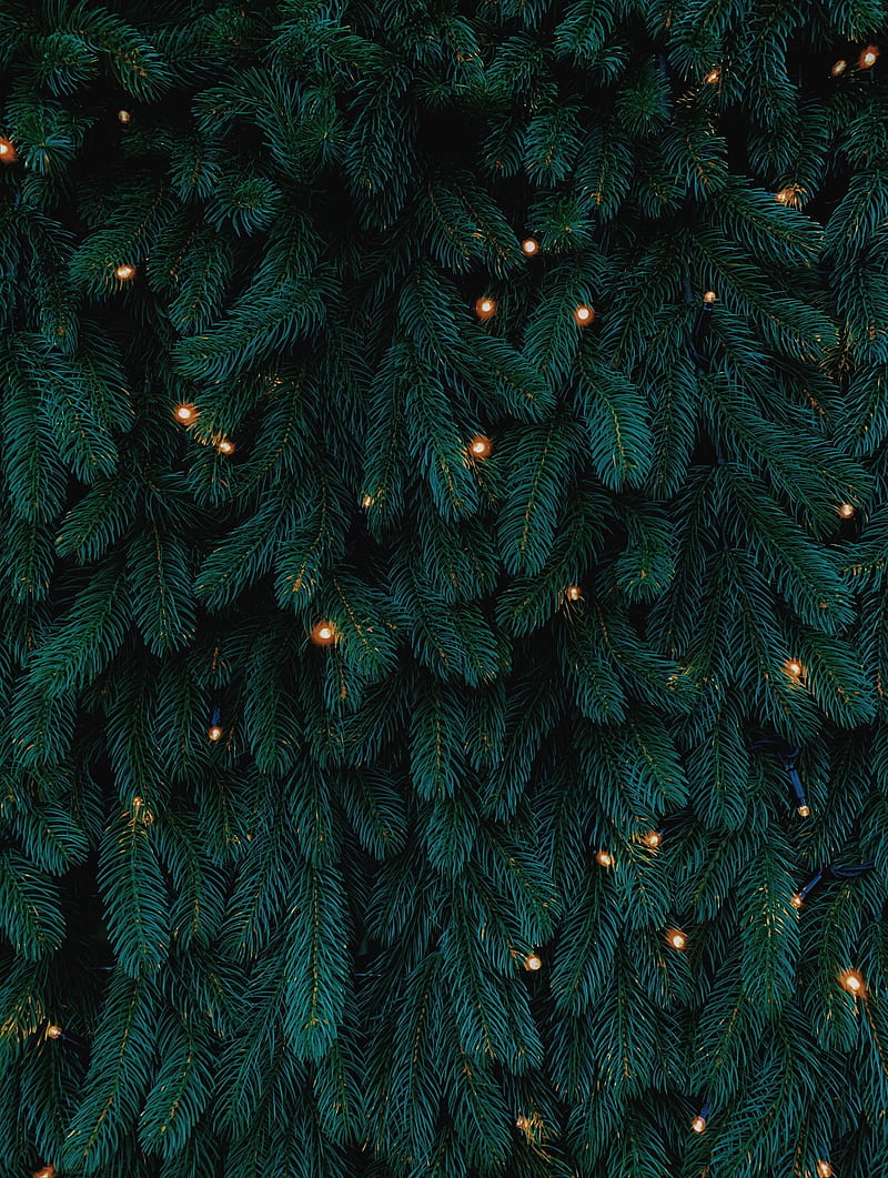tree, garland, new year, christmas, holidays, HD phone wallpaper