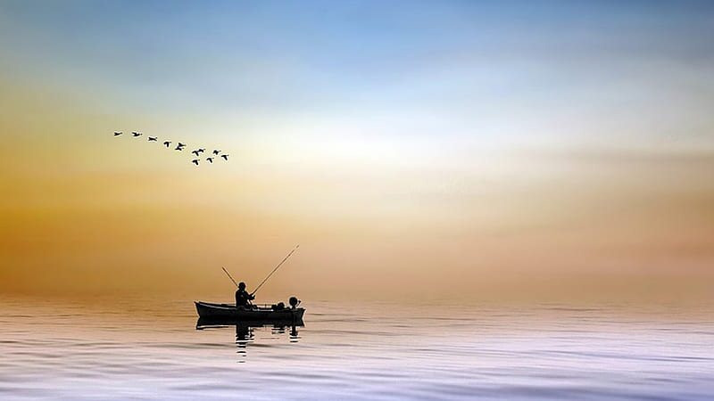 Early Morning Fishing, motor boat, birds, sky, lake, fisherman, Firefox theme, dawn, quiet, fish, calm, HD wallpaper