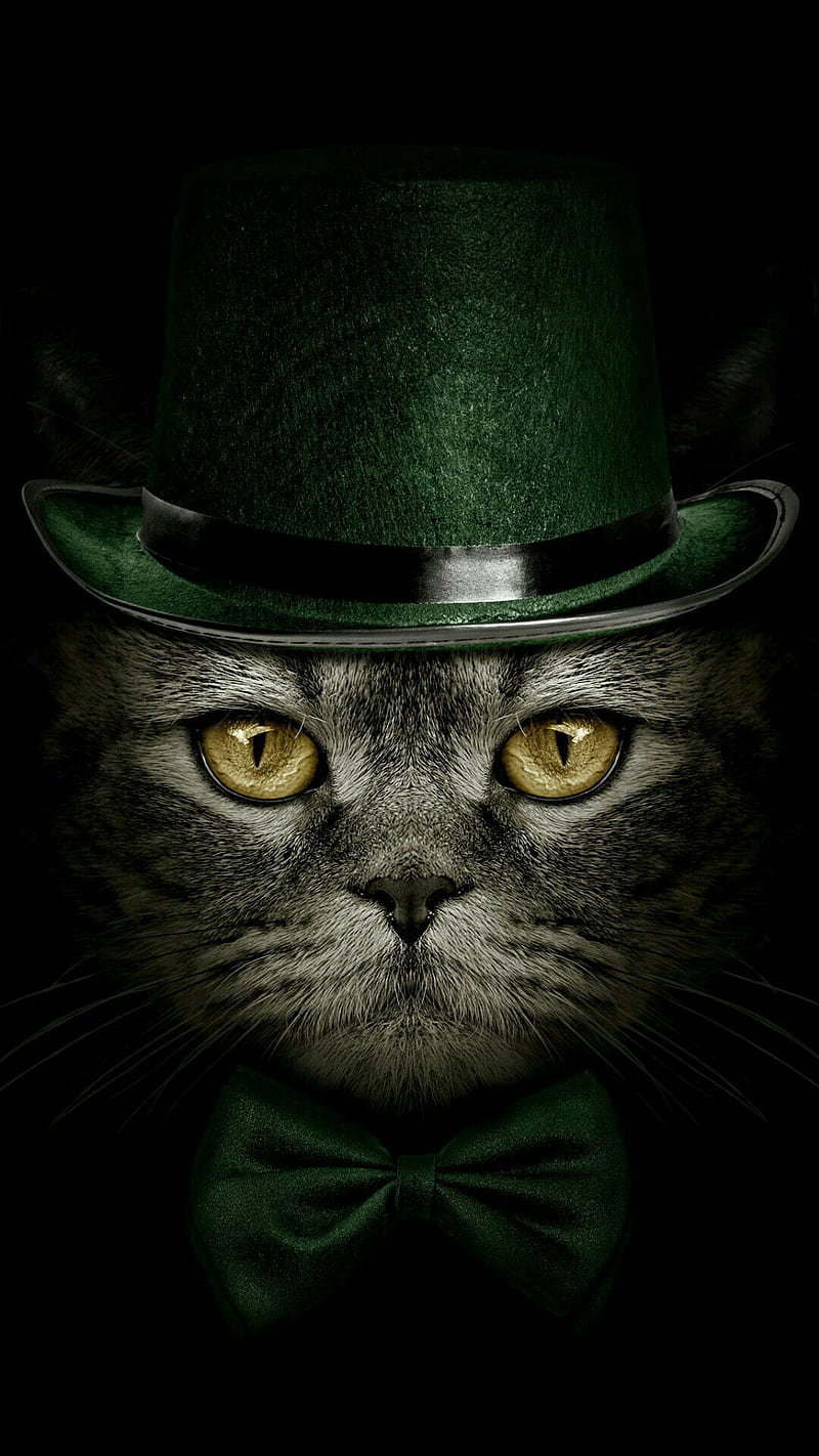 Funny cat, animal, green, hat, kitten, pet, saint patrick, HD phone wallpaper