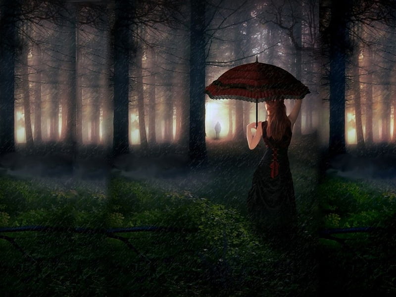 Waiting in the rain, umbrella, trees, woman, light, HD wallpaper | Peakpx