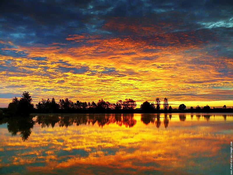 Midas touch, treeline, gold, orange, sunset, reflection, clouds, HD ...