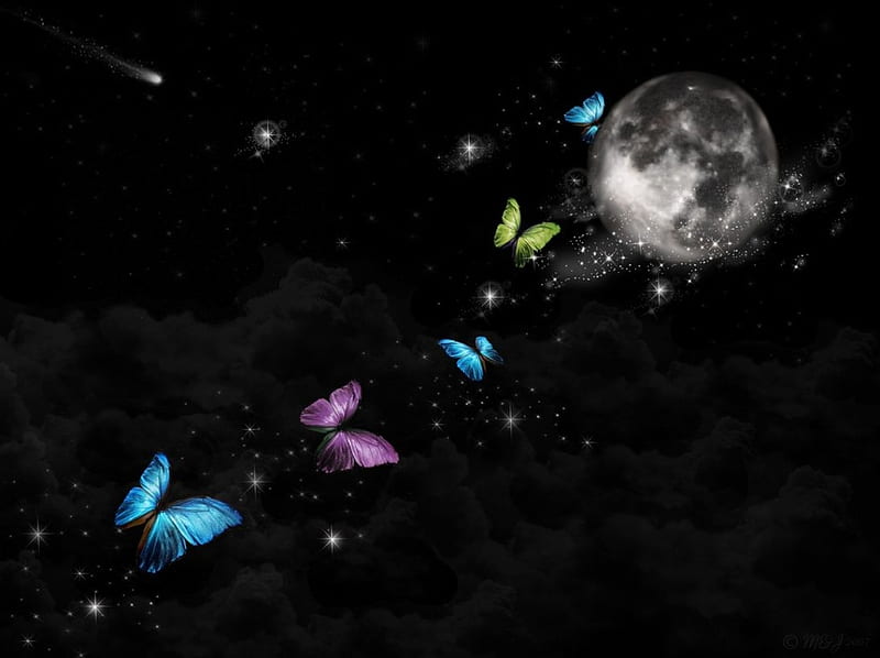 •ღ✿ღ•, art, fantasy, moon, butterfly, HD wallpaper