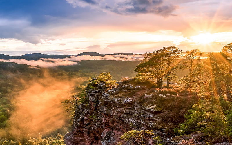 Treeburst, Palatinate Forest, Germany, sunrise, morning, trees, rocks, clouds, mist, HD wallpaper