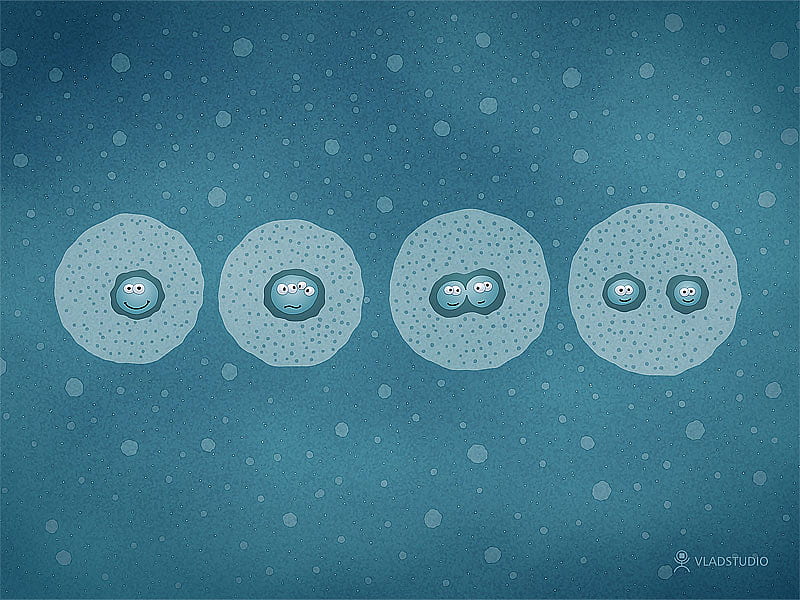 Mitosis 2 wallpaper by LuckyDuck77 - Download on ZEDGE™ | ac50