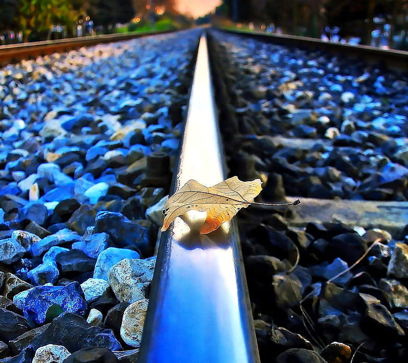 Road To The Heaven, blue, leaf, HD wallpaper