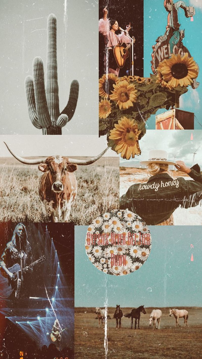 Wild West. nature flowers, Cute background, Western wall art, Western Asthetic, HD phone wallpaper