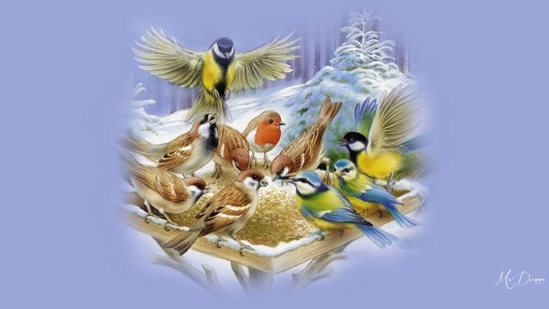 At the Bird Feeder, winter, bird feeder, birds, snow, colorful, HD wallpaper