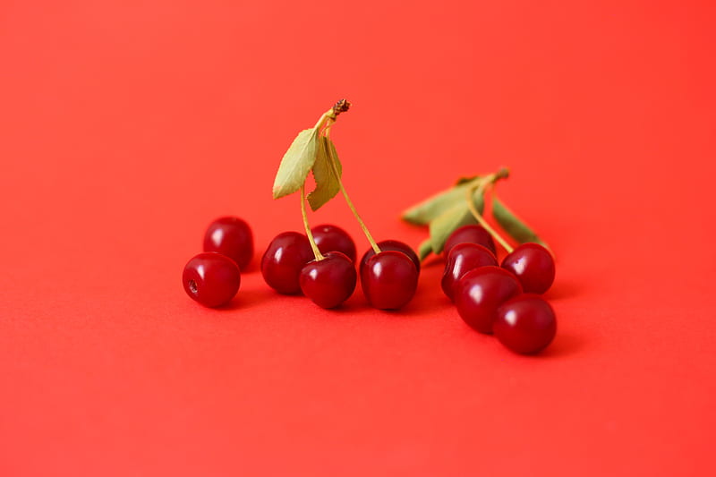 cherry, berry, branch, red, HD wallpaper