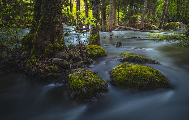 Nature, , Moss, River, HD wallpaper | Peakpx